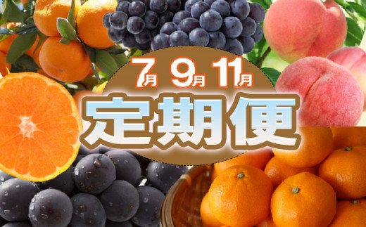 【定期便全3回】産直・和歌山フルーツ定期便(桃・ピオーネ・有田みかん) 【tkb415】和歌山県すさみ町51000果物・フルーツみかん・柑橘類