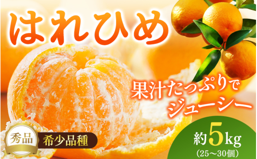 【先行予約】希少種みかん はれひめ 秀品 約5kg (25個〜30個) ※2025年12月中旬〜2026年2月初旬頃に順次発送予定(お届け日指定不可)/ 和歌山 みかん ミカン はれひめ フルーツ 柑橘 蜜柑 果物