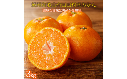 【先行予約】高級ブランド 秀品 紀州有田田村産みかん 3kg ※2025年12月頃〜2026年1月下旬頃に順次発送予定 / みかん ミカン 蜜柑 温州みかん 柑橘 フルーツ 果物 【uot848】和歌山県すさみ町15000