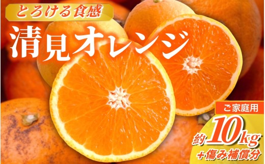 <2月より発送><2月より発送>家庭用 清見オレンジ 10kg+250g(傷み補償分)【光センサー食頃出荷】【樹上完熟きよみオレンジ・清見タンゴール・清美】【わけあり・訳あり】 / オレンジ