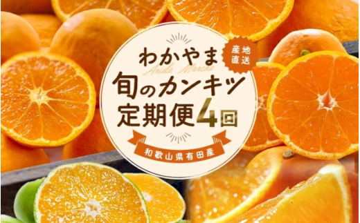 【全4回】和歌山旬のカンキツ定期便【L】3・5・9・11月発送(ご家庭用)※北海道・沖縄県・離島への配送不可 / 春の柑橘 初夏の柑橘 青切り 有田みかん 完熟有田みかん フルーツ くだもの