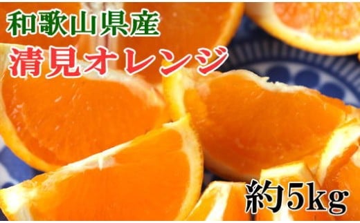 和歌山県産清見オレンジ約5kg(サイズ混合)※2026年3月中旬〜2026年4月上旬頃に順次発送 / みかん 果物 柑橘 有田みかん ミカン オレンジ 和歌山【tecj1035】和歌山県すさみ町14000果物・フルー