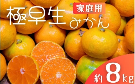 極早生みかん 約8kg みかん 産直 サイズ混合 みかん 早生みかん 果物 くだもの フルーツ 温州みかん 和歌山 柑橘 オレンジ【2025年10月上旬〜下旬頃に順次発送】【mrmt040】和歌山県すさみ町1600