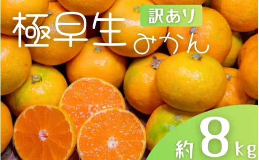 【訳あり】手選別 極早生みかん 約8kg 和歌山県産 2S~2Lサイズ混合 ※2025年10月上旬〜下旬頃に順次発送【mrmt041】和歌山県すさみ町12000果物・フルーツみかん・柑橘類