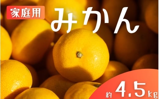 【ご家庭用】手選別 温州みかん 約4.5kg 和歌山県産 2S~2Lサイズ混合※2025年11月上旬〜2026年2月中旬ごろに順次発送【mrmt007】和歌山県すさみ町10000果物・フルーツみかん・柑橘類
