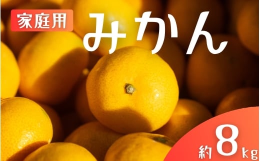 【ご家庭用】手選別 温州みかん 約8kg 和歌山県産 2S~2Lサイズ混合※2025年11月上旬〜2026年2月中旬ごろに順次発送【mrmt042】和歌山県すさみ町16000果物・フルーツみかん・柑橘類