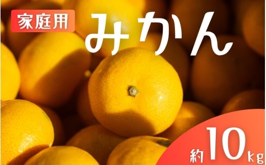 【ご家庭用】手選別 温州みかん 約10kg 和歌山県産 2S~2Lサイズ混合※2025年11月上旬〜2026年2月中旬ごろに順次発送【mrmt031】和歌山県すさみ町18000果物・フルーツみかん・柑橘類