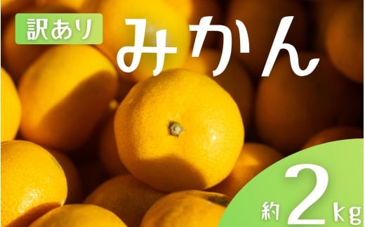 【訳あり】 森本農園の手選別 みかん 約2kg 和歌山県産 2S~2Lサイズ混合 【2025年11月上旬〜2026年2月中旬ごろに順次発送】【mrmt008】和歌山県すさみ町6000果物・フルーツみかん・柑橘類