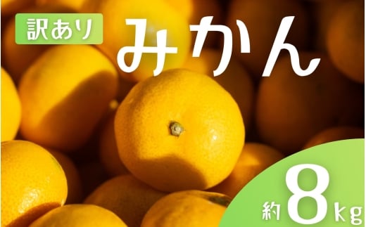 【訳あり】 森本農園の手選別 みかん 約8kg 和歌山県産 2S~2Lサイズ混合 【2025年11月上旬〜2026年2月中旬ごろに順次発送】【mrmt043】和歌山県すさみ町12000果物・フルーツみかん・柑橘類