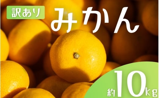 【訳あり】 森本農園の手選別 みかん 約10kg 和歌山県産 2S~2Lサイズ混合 【2025年11月上旬〜2026年2月中旬ごろに順次発送】【mrmt010】和歌山県すさみ町14000果物・フルーツみかん・柑橘類