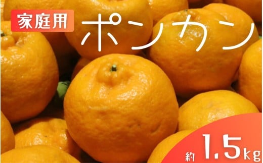 【家庭用】 森本農園の手選別 ポンカン 約1.5kg 和歌山県産 サイズ混合 【2026年1月上旬〜2月上旬頃に順次発送】【mrmt011】和歌山県すさみ町6000果物・フルーツみかん・柑橘類
