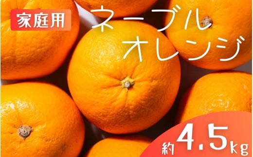 【家庭用】 森本農園の手選別 ネーブルオレンジ 約4.5kg 和歌山県産 サイズ混合 【2026年1月上旬〜2月中旬頃に順次発送】【mrmt017】和歌山県すさみ町10000果物・フルーツみかん・柑橘類