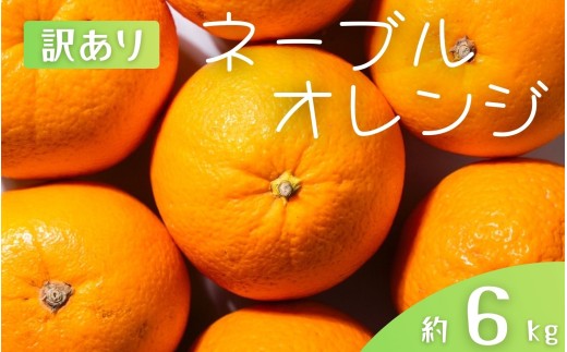 【訳あり】 森本農園の手選別 ネーブルオレンジ 約6kg 和歌山県産 サイズ混合 【2026年1月上旬〜2月中旬頃に順次発送】【mrmt019】和歌山県すさみ町11000果物・フルーツみかん・柑橘類