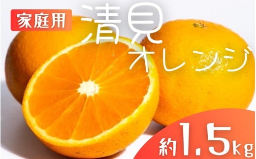 【先行予約】【家庭用】 森本農園の手選別 清見オレンジ 約1.5kg 和歌山県産 サイズ混合 ※2026年2月上旬〜5月中旬頃順次発送 / きよみ 清見 柑橘 ご家庭用 期間限定 由良町 果物 フルーツ 和