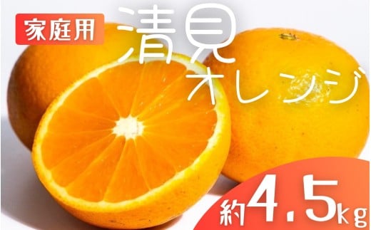 【先行予約】【家庭用】 森本農園の手選別 清見オレンジ 約4.5kg 和歌山県産 サイズ混合 ※2026年2月上旬〜5月中旬頃順次発送 / きよみ 清見 柑橘 ご家庭用 期間限定 由良町 果物 フルーツ 和