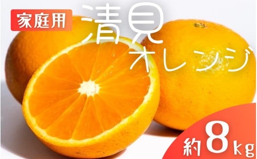 【先行予約】【家庭用】 森本農園の手選別 清見オレンジ 約8kg 和歌山県産 サイズ混合 ※2026年2月上旬〜5月中旬頃順次発送 / きよみ 清見 柑橘 ご家庭用 期間限定 由良町 果物 フルーツ 和歌