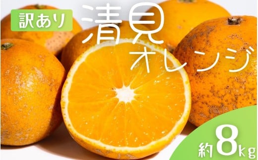 【先行予約】【訳あり】 森本農園の手選別 清見オレンジ 約8kg 和歌山県産 サイズ混合 ※2026年2月上旬〜5月中旬頃順次発送 / 清見 きよみ オレンジ 柑橘 期間限定 由良町 果物 フルーツ 和歌