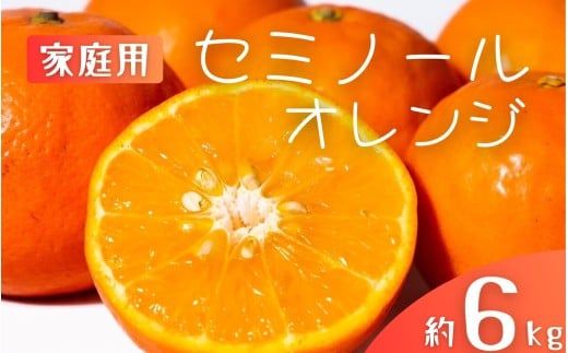 【先行予約】【ご家庭用】手選別 セミノールオレンジ 約6kg 和歌山県産 2S~2Lサイズ混合※2026年4月中旬〜5月中旬頃に順次発送【mrmt036】和歌山県すさみ町12000果物・フルーツみかん・柑橘類