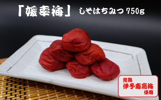 梅干「媛幸梅」しそはちみつ 750g愛媛県西条市19000鍋セット・総菜・加工食品漬物・梅干・キムチ