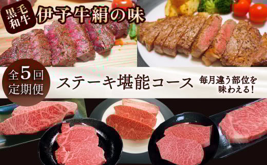 全5回定期便 黒毛和牛 伊予牛 絹の味 ★ステーキ★ ステーキ堪能コース 愛媛県西条市 青野精肉店 【配送日時指定可・冷蔵】 ※関東以北・沖縄へのお届けは冷凍  | 黒毛和牛 A4〜A5 お肉 牛