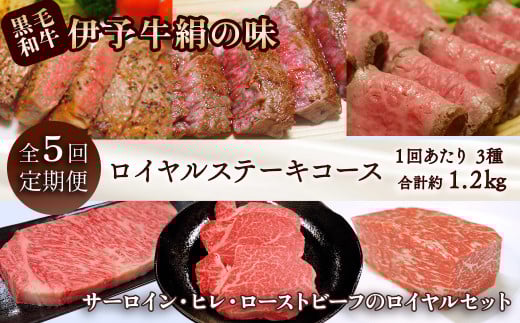 全5回定期便 黒毛和牛 伊予牛 絹の味 ★ロイヤル★ ロイヤルステーキコース 愛媛県西条市 青野精肉店 【配送日時指定可・冷蔵】 ※関東以北・沖縄へのお届けは冷凍  | 黒毛和牛 A4〜A5 お