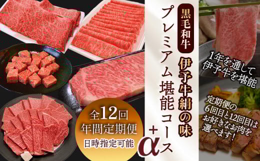全12回定期便 黒毛和牛 伊予牛 絹の味  プレミアム 堪能コース+α 愛媛県西条市 青野精肉店 【配送日時指定可・冷蔵】 ※関東以北・沖縄へのお届けは冷凍  | 黒毛和牛 A4〜A5 お肉 牛肉 国産