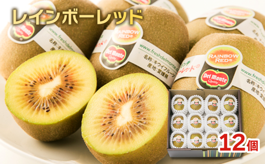 キウイ レインボーレッド  12個 愛媛県西条市  【先行予約・ 12月上旬〜12月下旬発送】| レインボーレッドキウイ レインボー キウイ 国産 フルーツ 果物 ビタミン 食物繊維 お取り寄せ 愛