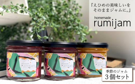 <無添加・手作り>えひめ県産フルーツ使用−rumijam−季節のジャム3個セット愛媛県西条市12000鍋セット・総菜・加工食品ジャム・はちみつ