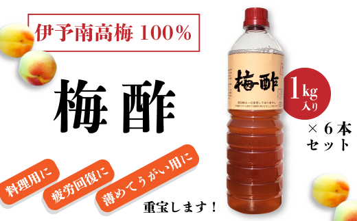 伊予南高梅100%「梅酢」(1s×6本セット)愛媛県西条市14000鍋セット・総菜・加工食品その他 鍋セット・総菜・加工食品