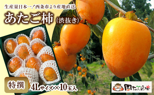 柿 愛媛県西条市産 「あたご柿(渋抜き)」(JA周桑) 特撰4Lサイズ×10玉入り 【先行予約・2025年12月発送】 周ちゃん広場 |  フルーツ 柿 かき カキ 果物 渋抜き柿 産地直送 秋の味覚 旬 愛
