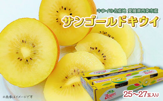 キウイ サンゴールドキウイ 25〜27玉 愛媛県西条市  【先行予約・ 11月下旬〜12月下旬発送】| キウイ サンゴールド フルーツ 果物 くだもの 愛媛県産 西条市産 お取り寄せ愛媛県西条市20000