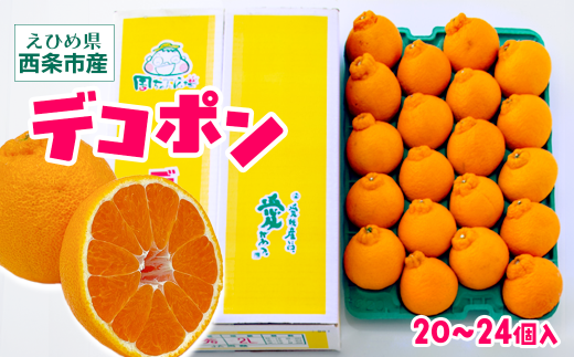 デコポン 柑橘 でこぽん (2Lサイズ20個入またはLサイズ24個入) 愛媛県西条市 【先行予約・2026年2月下旬〜3月下旬発送】|  柑橘 かんきつ でこぽん しらぬい みかん 旬 期間限定 果物 フル