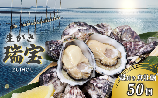 瀬戸内海産 殻付き牡蠣 「瑞宝(ずいほう)」<50個入り> 生食可 真ガキ シングルシード 養殖 生牡蠣愛媛県西条市32000魚介・海産物貝類