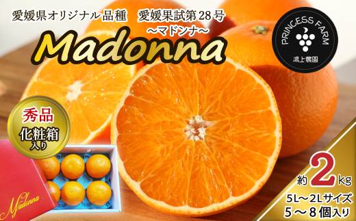 マドンナ Madonna( 愛媛果試第28号 ) 約2s 秀品 化粧箱 お任せサイズ(2L〜5L)5〜8個入 愛媛県西条市  【先行予約・11月下旬〜1月中旬頃発送】| 愛果28 愛媛 みかん あいか あいか28号 紅ま