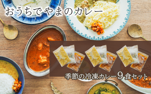 「おうちでやまのカレー」 季節の冷凍カレー9食セット 200g×9袋 カレー スパイス 薬膳 アーユルヴェーダ グルテンフリー 冷凍愛媛県西条市30000鍋セット・総菜・加工食品総菜