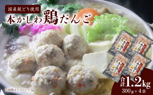本かしわ鶏だんご 合計1.2kg(300g入り×4袋) 冷凍 生だんご(加熱前) 鶏団子 愛媛県西条市 | だんご 鶏 とり 鶏団子 鍋 便利 冷凍愛媛県西条市14000肉鶏肉
