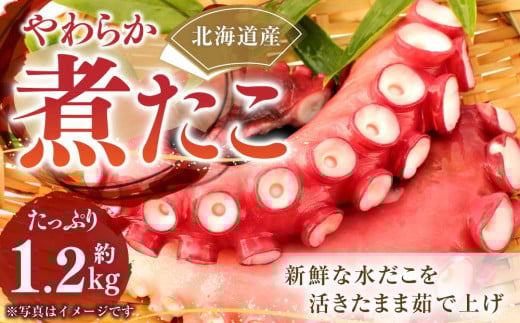 【やわらか】煮たこ(約1.2Kg)北海道様似町10000魚介・海産物イカ・タコ・ウニ