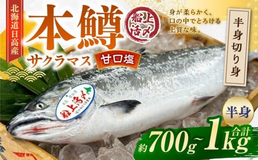 本鱒(サクラマス)船上活〆半身切り身【甘口塩】(半身約700g〜1000g)北海道様似町10000魚介・海産物鮮魚