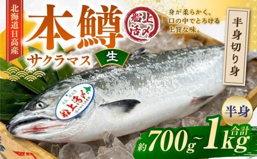 {iTN}XjD㊈Yg؂gyzig700g`1000gjkCl10000ECYN
