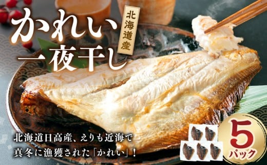 【丸富水産】北海道産 かれい一夜干しセット 5パック北海道様似町5000魚介・海産物干物