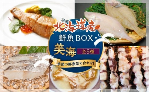 カネオ成栄丸のおまかせお魚BOX 美海(5種)北海道様似町20000魚介・海産物カニ