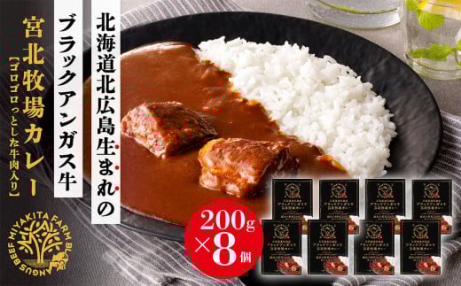 北海道 北広島産 ブラックアンガス 牛 宮北 牧場カレー (1人前×8箱)北海道北広島市24000鍋セット・総菜・加工食品総菜