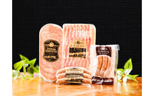 yȈՕzdEYΎdグx[RE\[Z[WZbg F-3-k q337grx[R \[Z[W ؓ kCkLs12000HinE\[Z[Wj