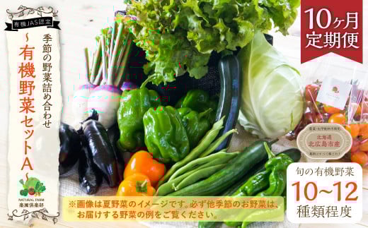 【有機JAS認定】【10ヶ月定期便】 季節の野菜詰め合わせ 〜有機野菜セットA〜北海道北広島市120000野菜・きのこその他 野菜