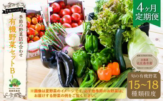 【有機JAS認定】【4ヶ月定期便】 季節の野菜詰め合わせ 〜有機野菜セットB〜北海道北広島市96000野菜・きのこその他 野菜