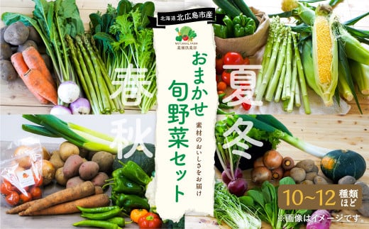 おまかせ旬野菜セット 旬 野菜 セット 北海道 北広島市北海道北広島市12000野菜・きのこその他 野菜