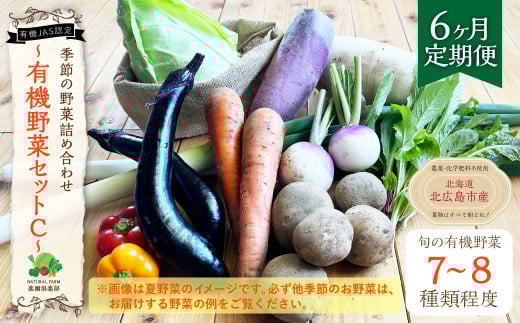 【6ヶ月定期便】有機JAS認定 季節の野菜詰め合わせ 〜有機野菜セットC〜北海道北広島市60000野菜・きのこその他 野菜
