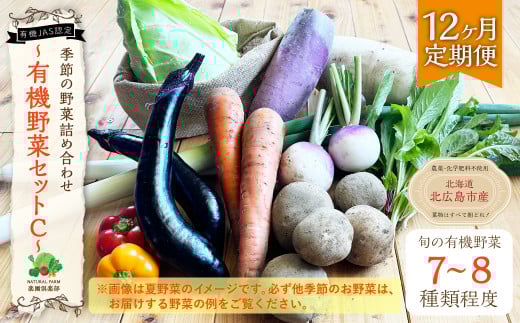 【12ヶ月定期便】有機JAS認定 季節の野菜詰め合わせ 〜有機野菜セットC〜北海道北広島市120000野菜・きのこその他 野菜