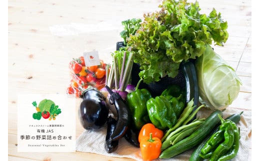 yL@JASFzy4uցz G߂̖؋lߍ킹 `L@؃ZbgA` 10ށ`12 G  ؃Zbg L@ L@ lߍ킹 ZbgkCkLs48000؁Ê