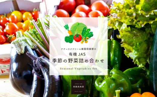 【有機JAS認定】【2ヶ月隔月定期便】 季節の野菜詰め合わせ 〜有機野菜セットB〜 15種類〜18種類 季節 野菜 野菜セット 有機野菜 有機 詰め合わせ セット北海道北広島市48000野菜・きのこその